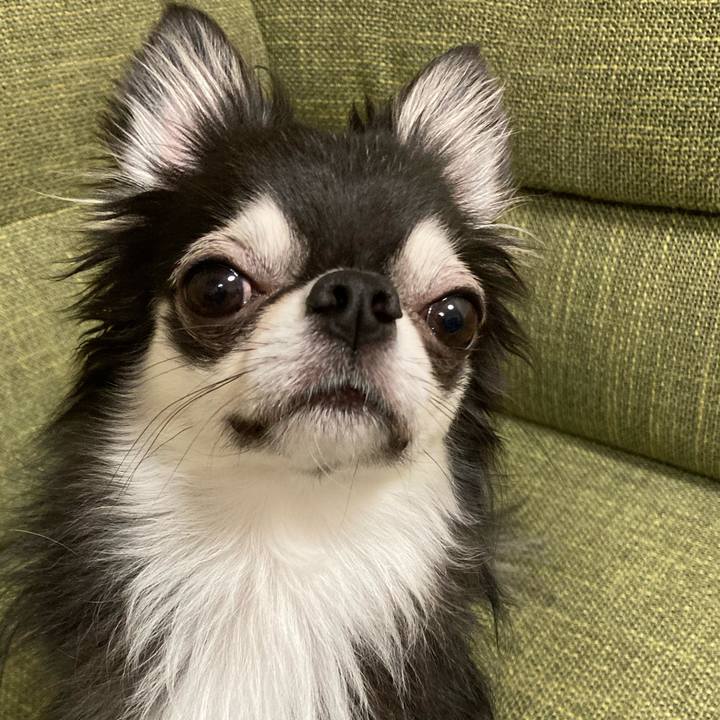 77565b8a 15ed 4ae9 a7c1 fb2276746302 1665323273737