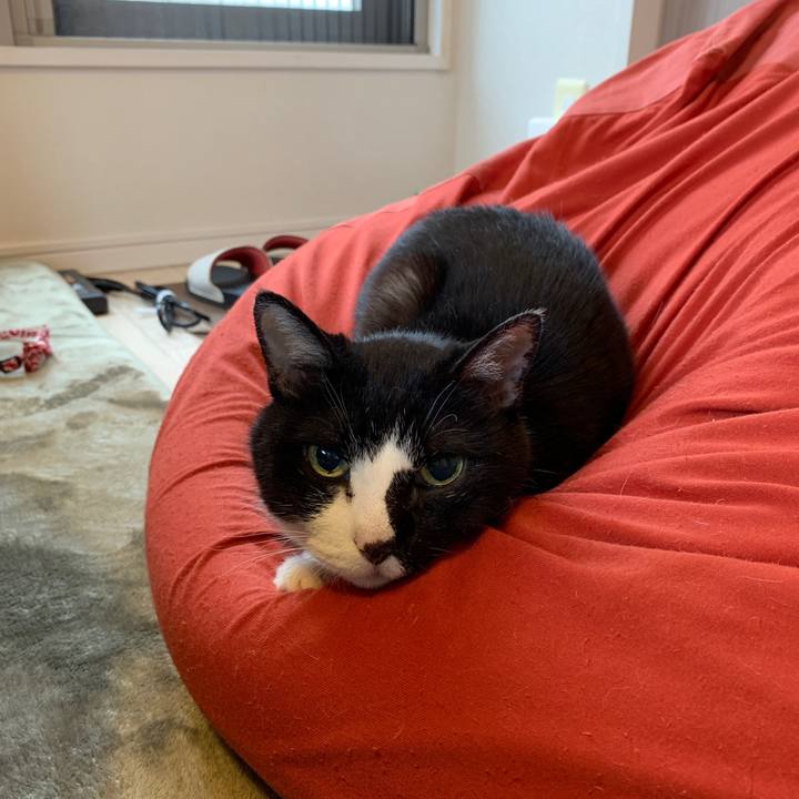 77565d01 f96f 40af 8acf 7aa67e60af82 1621401552647