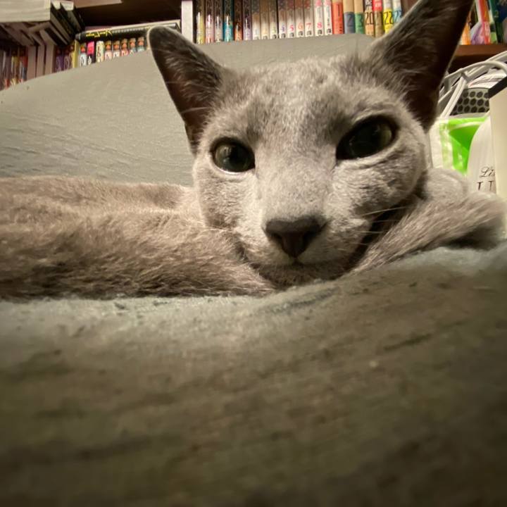 775674a7 a8de 4d18 9e49 aa921529372f 1622282932283