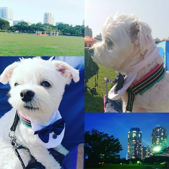 7756ad4d da2a 46e7 9fcb 5bd0d59572a6 1572696479540