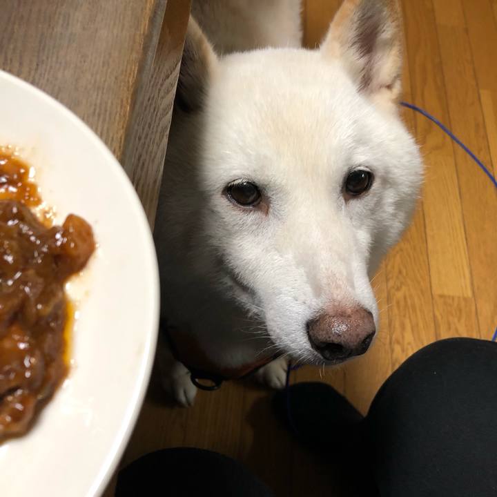 7756bd98 d93d 4d15 9ad0 5d8e3275a0a9 1634893037012