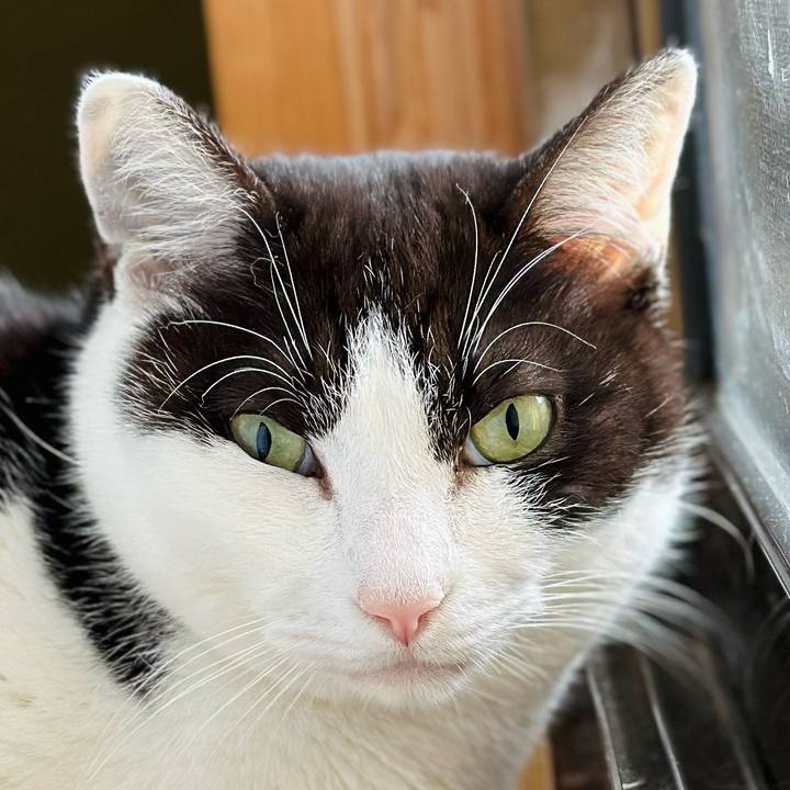 7756e1b4 74e1 48ca b08f a4e92c58932b 1678153119276