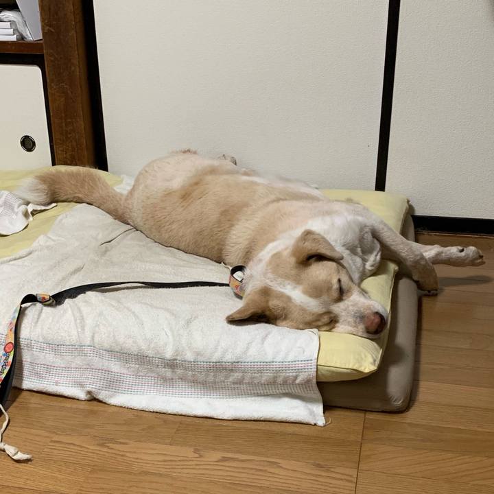 77570ad1 ee93 4492 b0b3 1b36b1812424 1560263845627