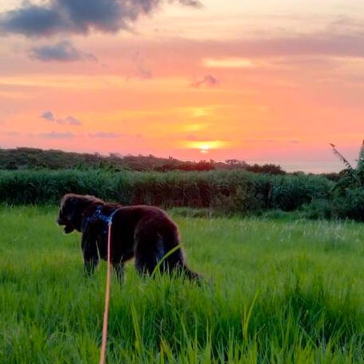 77570dad 95ba 4738 aaaf 496484f9d227 1658070435397