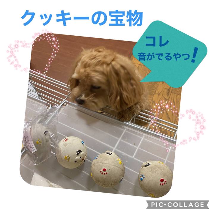 775719cb f489 4b90 860f caa53b8769a4 1620991213598