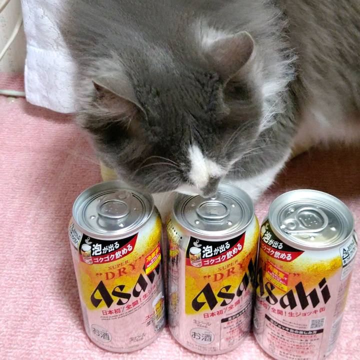 775734ba b98e 4ca5 ab0e 6bd7ba0c7dbd 1618396795330