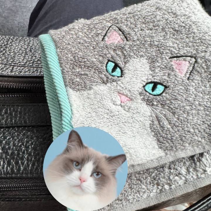 77574696 e73e 4bca aad3 8cdf0799e497 1759587961275