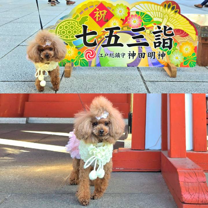 7757a4f9 0cec 4a17 98fd 4cb5bfa93633 1764473635562