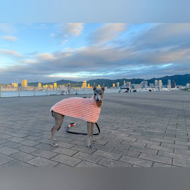 7757decc d86b 4acd b9a1 ba1a13bc8b34 1760957005620