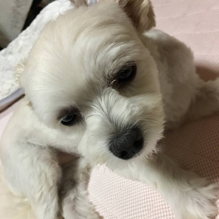 7757f000 d897 4e89 a569 1fcfc86a919e 1564400690591