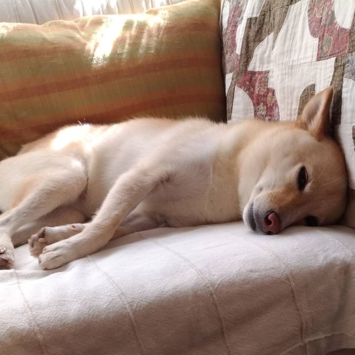 7757f457 7824 49da a72f f2b71cb7609d 1570195112078