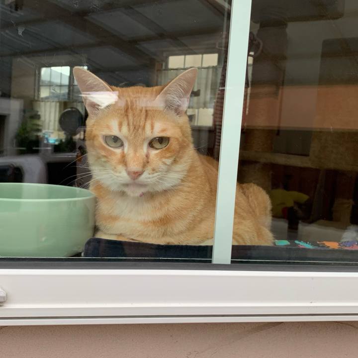 77585988 d404 45d4 a64c 5e76c84d4c5e 1594720258732