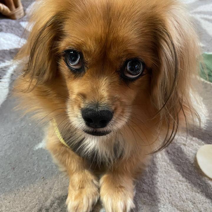 77588f14 ba1c 41b3 988b 84c8ca65ad3d 1635889313161