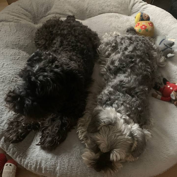 775895d6 612b 4474 9abd 0844c35aa0bc 1651974837583