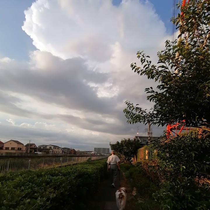 77589b98 6a2a 44ab aed9 9cf0f46d91e7 1598701343935