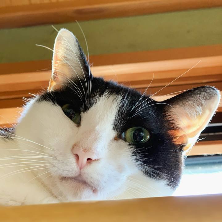 7758e58c 632c 43ba 842a 17da92eb65b6 1598322229093