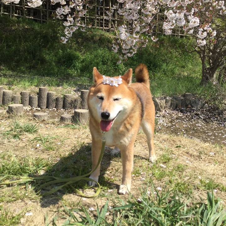 77594e92 523c 4091 893f 31cfbb0cb09d 1585808866721