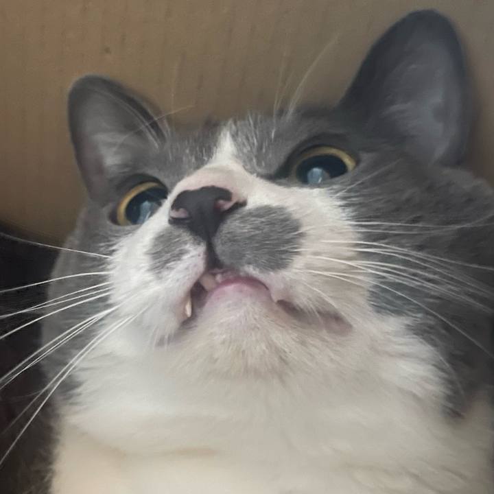 77595328 246f 4f5f bcc4 eccbef708473 1738829988708