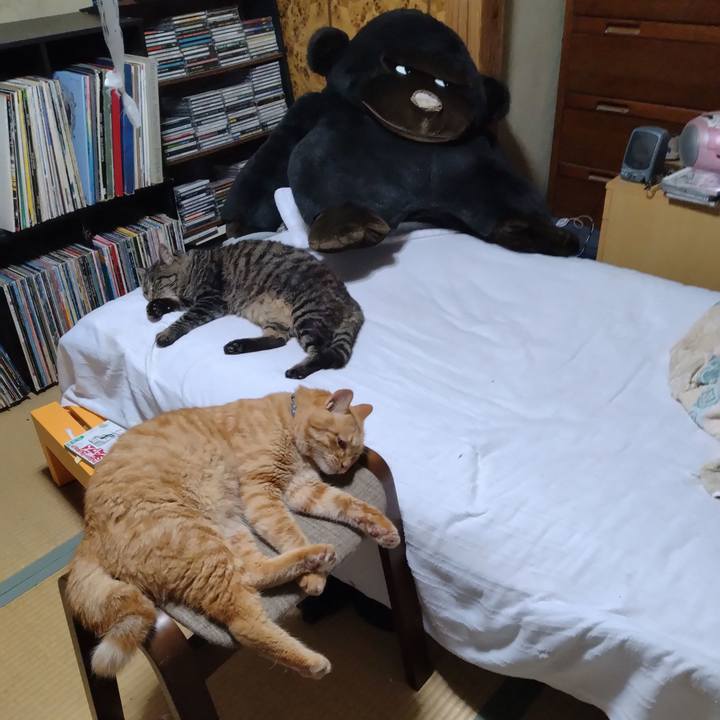 77596321 ebb3 449f 970d b534279ec137 1690893089811