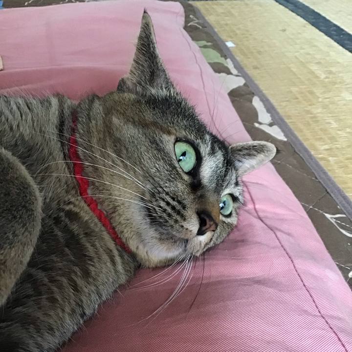 7759df40 9e88 4905 8fcf f7c2d8f9d8dc 1685506839479