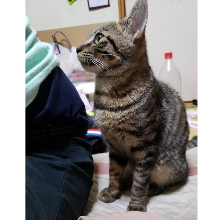 775a0809 776d 47ff b5ce c9eae0c380dd 1541947791347