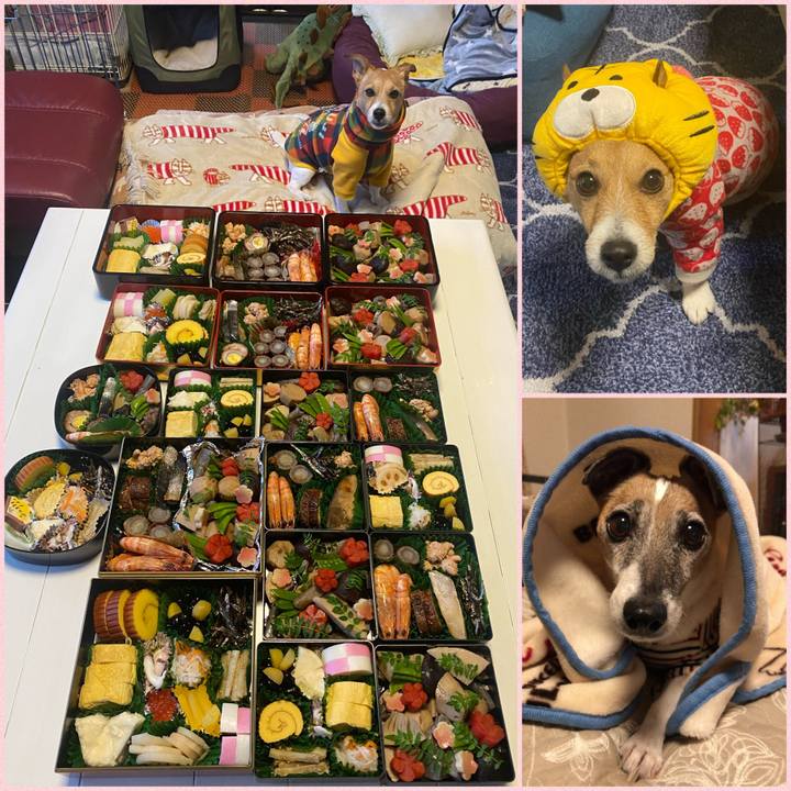 775a0bc6 2774 4dcf 8dce 92ac92eb5ca5 1640995675575