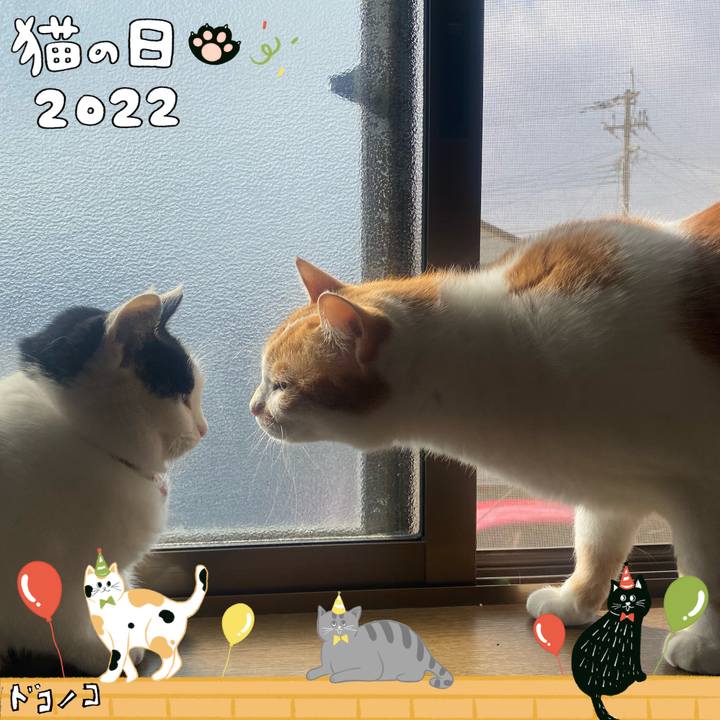 775a3067 f916 4a65 800b 207e8487d493 1645495135441