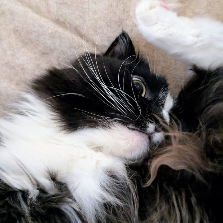 775a373a 06f5 4301 9a5b ddd20cf5298e 1748736733140