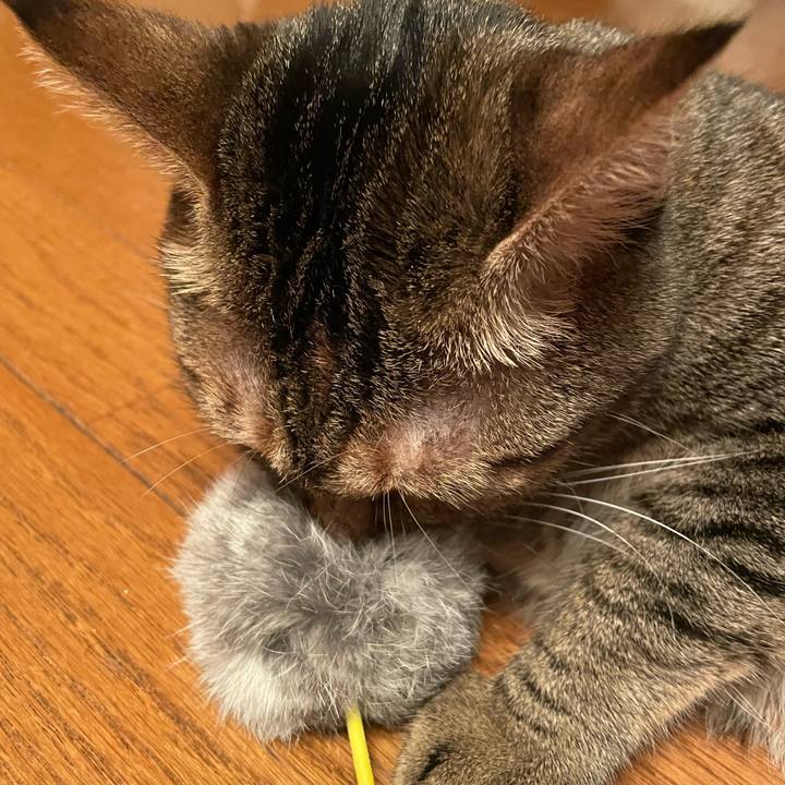 775a39f3 57ad 45e1 9150 9ab70ea8b0ed 1663412594455