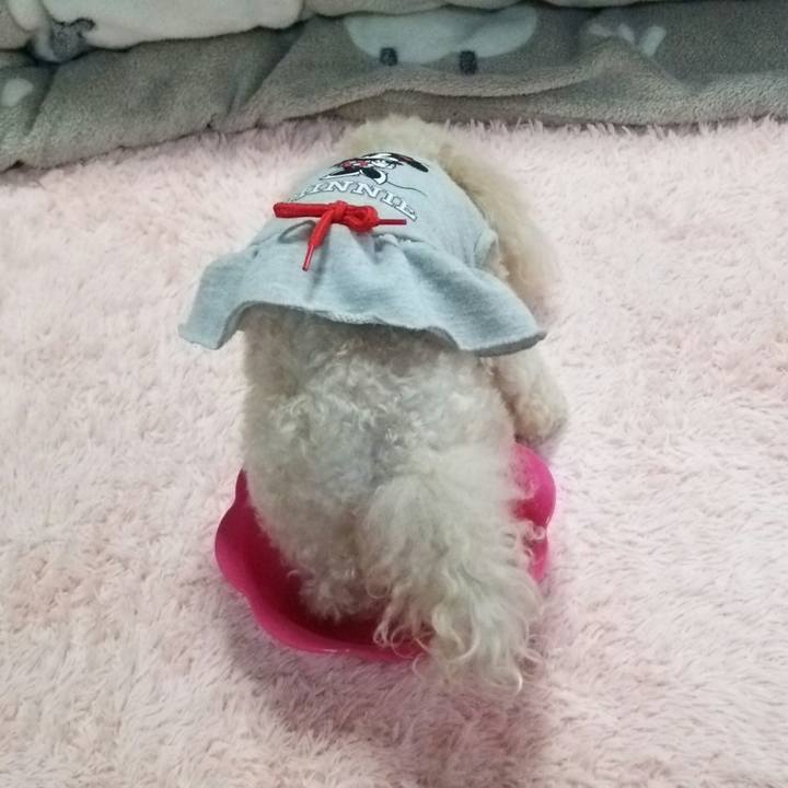 775a6e84 0545 45dd baa9 ea1be229d2e4 1524567140303