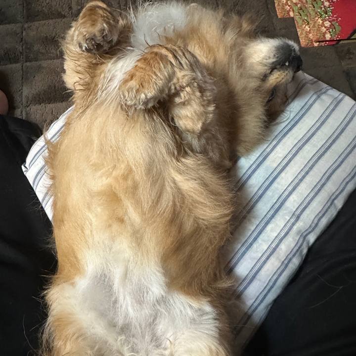 775a6f6e da97 4d75 b415 1e5dde03cbd6 1745355728698