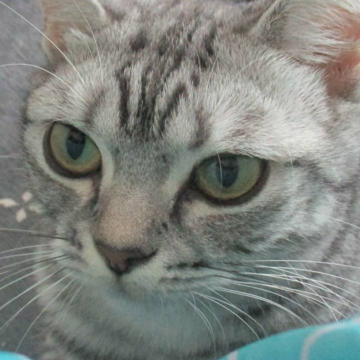 775a85ec 407e 4b99 8210 1ea1f2f62f94 1562414417407