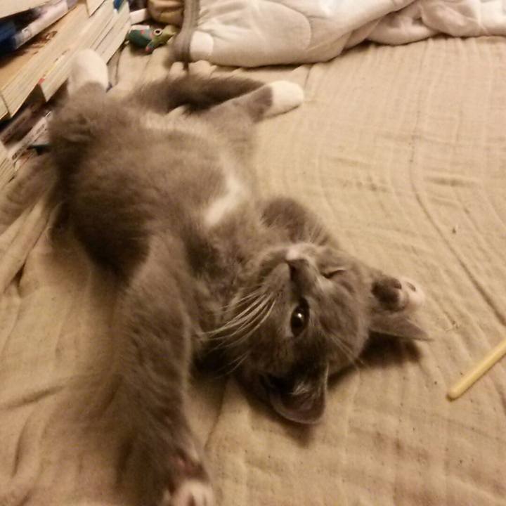 775a8dd7 370d 42a4 a5a2 a33c28dd4e06 1531739377217