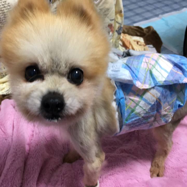 775ab487 d387 4a4d b374 51521b4210cf 1507647592609