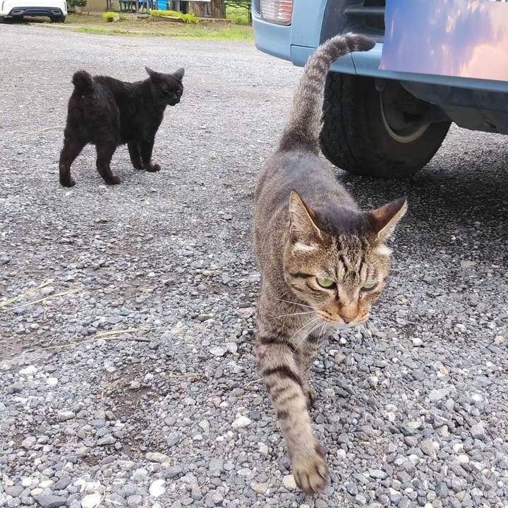 775adeb0 1a13 4011 9d47 9541ea45f68d 1659677110039