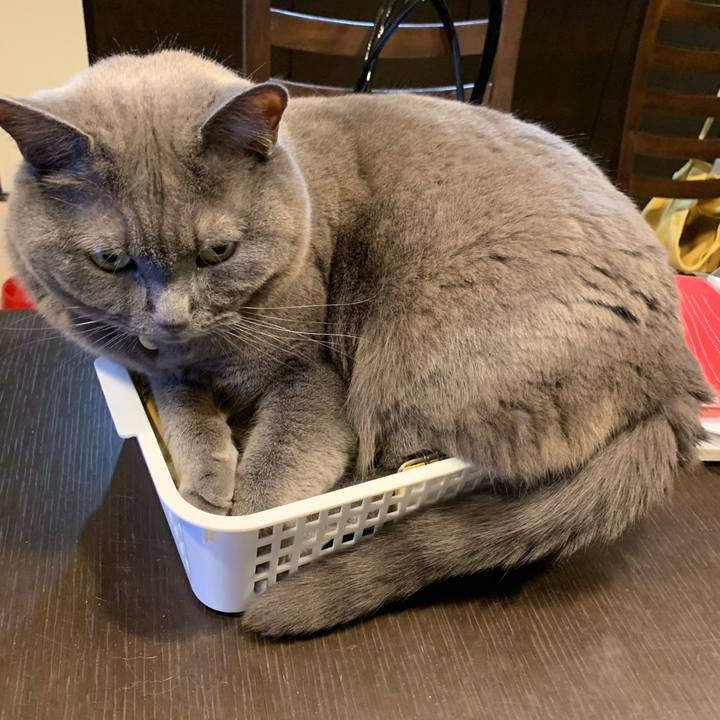 775aff1e 5f30 4ff6 8b30 7a1617825063 1586515462141