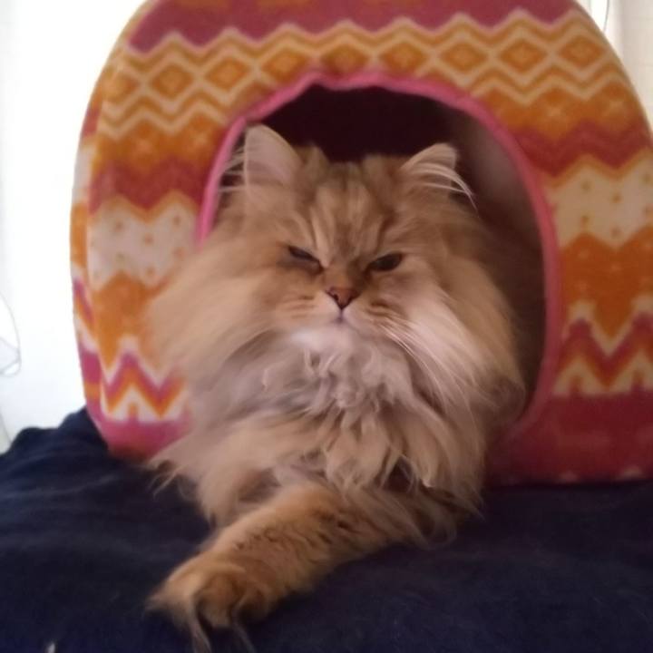 775b8870 6fcd 4173 ae51 308d0a9b8ff2 1610073752834