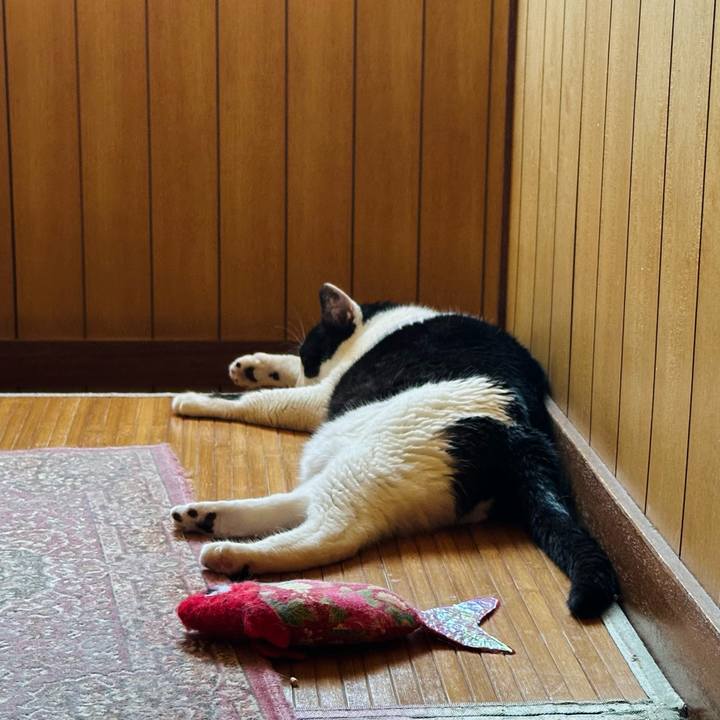 775b9223 34e1 4397 9ba2 0e90dcc10629 1722208679084