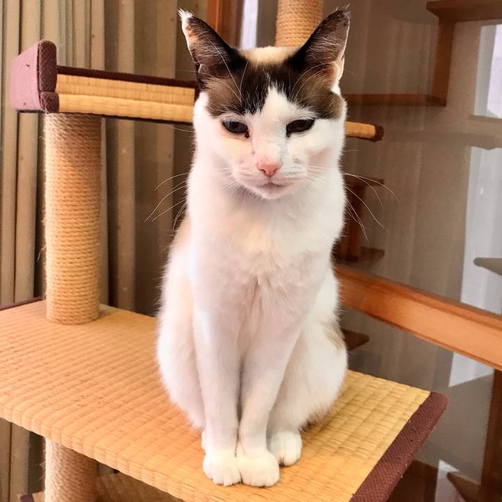 775ba621 2619 405a bffd 3cd15aae647e 1616547766144