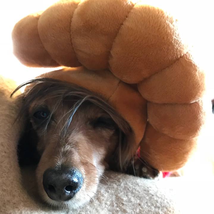 775bbb04 6352 4316 8da3 3034725dda44 1518246154004