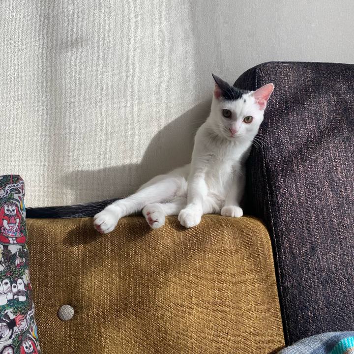 775bc960 59e3 4fb9 9a4b 89c292a6018d 1668299182668