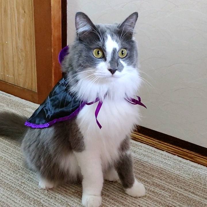 775bd347 ee06 477b 85b8 c818944ca21a 1599284373431