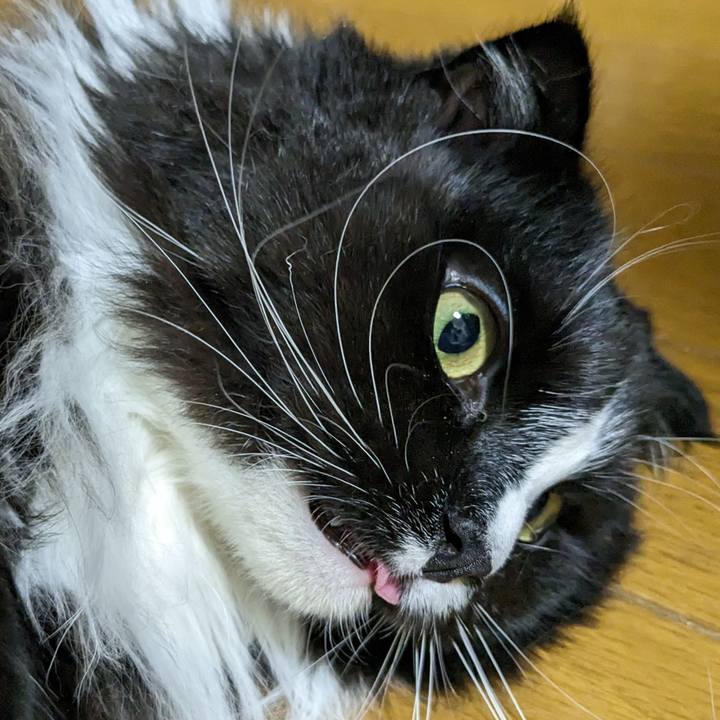 775bd462 ade5 4fde a231 21d97b75acb9 1679752833504