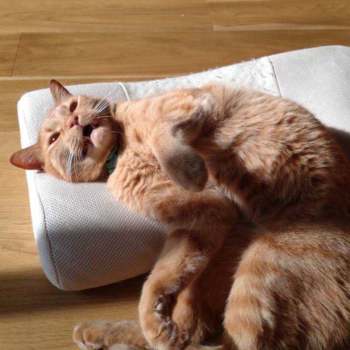 775c1885 2550 4728 a127 dd453e49cb96 1737277616716