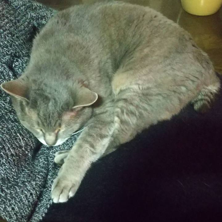 775c1e44 6f34 4db6 bcdb 3884226a86b4 1652721404082