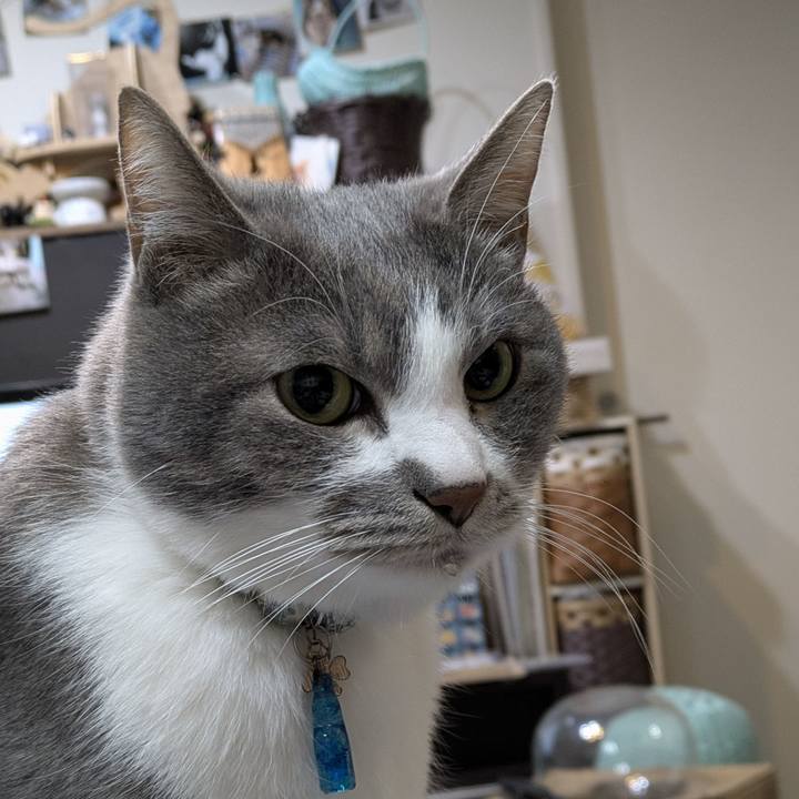 775c54d9 f39e 4de5 865e e5239bbfe6d9 1767872250121