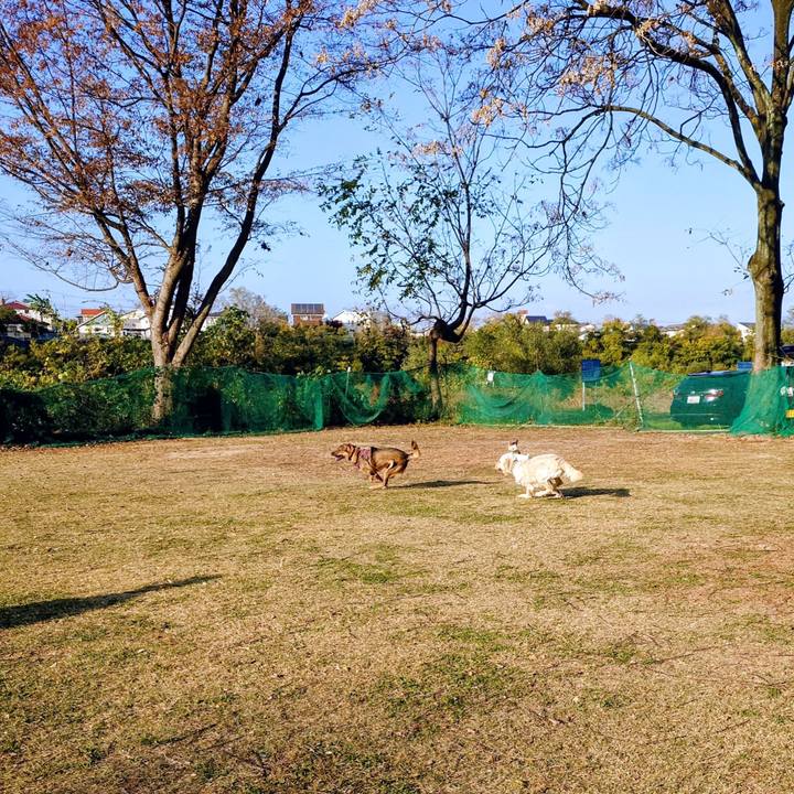 775c5db0 1154 4352 9492 2a9123a85b23 1763267213997