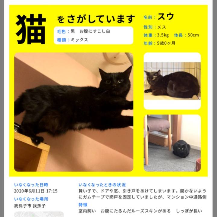 775c677d 5cf0 46a4 bd4a 1dc1d158edea 1592030522908