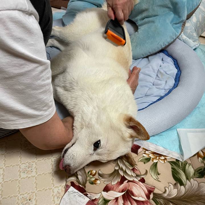 775c965f db6c 4c5e a2ed 2b1c5e89b2a7 1657859962254