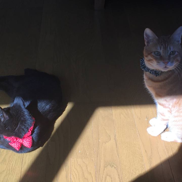 775c9d6c 35be 428d 9074 262ad61b9c81 1535846328238